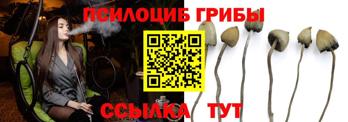 Псилоцибиновые грибы прущие грибы Боровичи