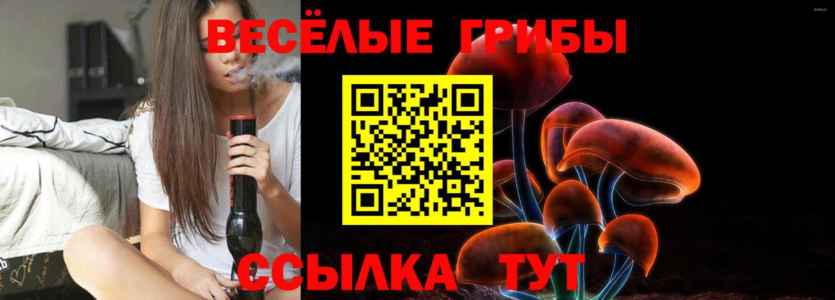 Псилоцибиновые грибы Psilocybine cubensis  Вход с VPN  Галлюциногенные грибы ЛСД  Боровичи 